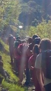 20160515_101556_resized